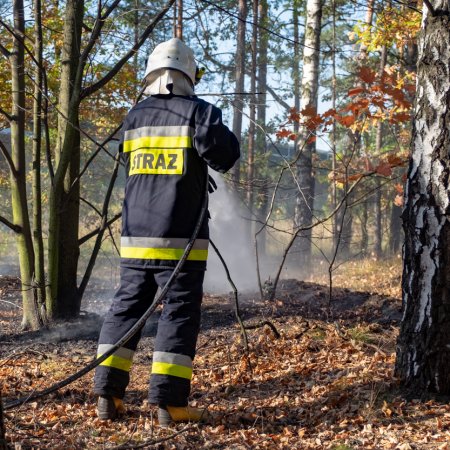Pożar lasu w Szczejkowicach