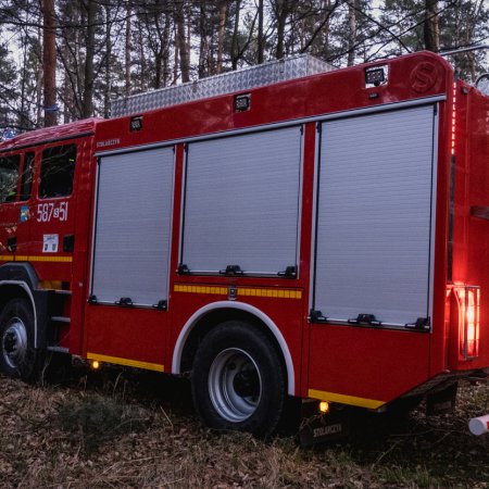 Pożar lasu w Szczejkowicach - 2 kwietnia 2020

