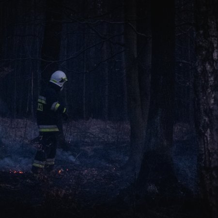 Pożar lasu w Szczejkowicach