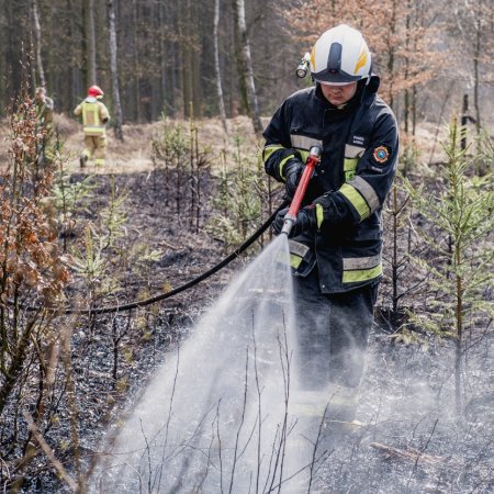 Pożar młodnika w Szczejkowicach - 27 marca 2021
