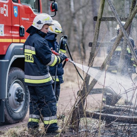 Pożar młodnika w Szczejkowicach