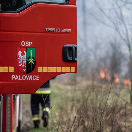 Pożar poszycia leśnego w Palowicach - 12 kwietnia 2021
