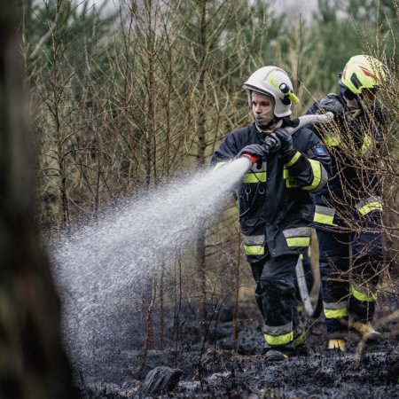 Pożar poszycia leśnego w Palowicach